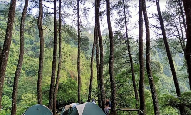 Camping Ground Loji Suaka Elang Bogor