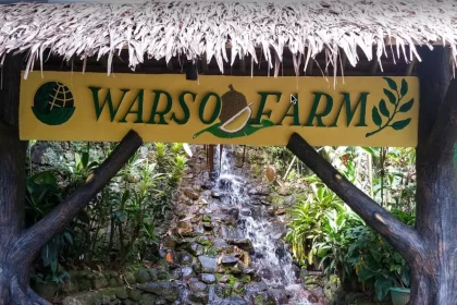 Wisata Agro Warso Farm