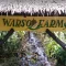 Wisata Agro Warso Farm